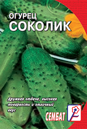 огурец соколик стандарт