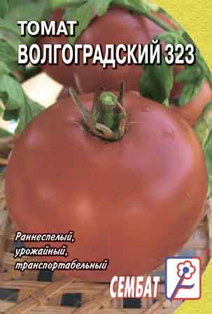 Tomat Volgogradskiy 323 Tomat Volgogradskiy 323