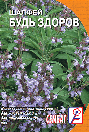 шалфей стандарт