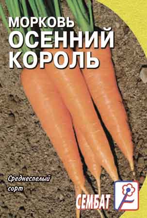 Morkov Osenniy Korol Morkov Osenniy Korol