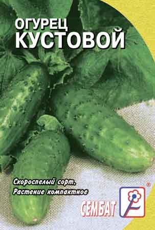 Ogurec Kustovoy Ogurec Kustovoy