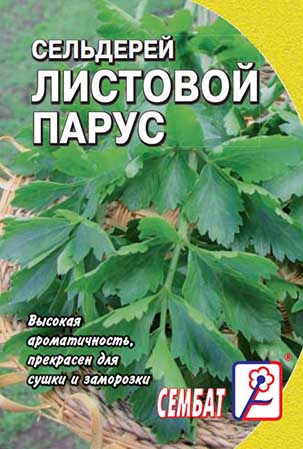 selderei listovoy parus