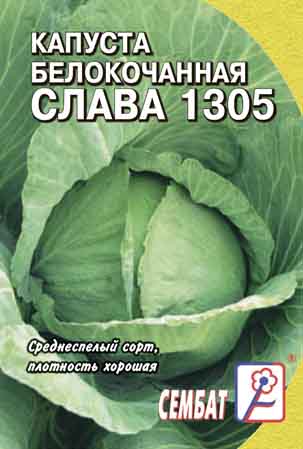 Kapusta Belokachannaya Slava 1305 Kapusta Belokachannaya Slava 1305