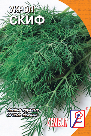 укроп скиф