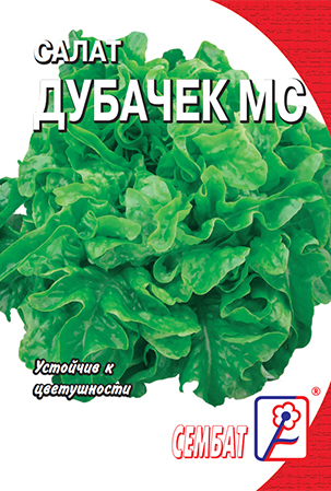 салат дубачек стандарт