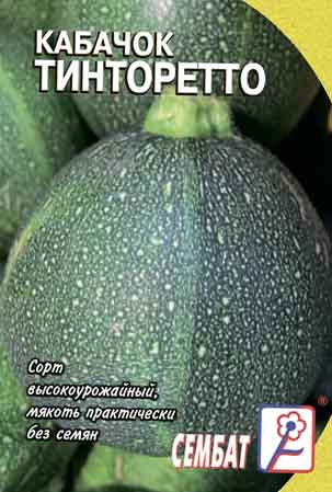 Kabachok Tintoretto Kabachok Tintoretto