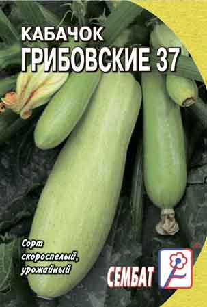 Kabachok Gribovskiye 37 Kabachok Gribovskiye 37