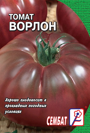 томат ворлон