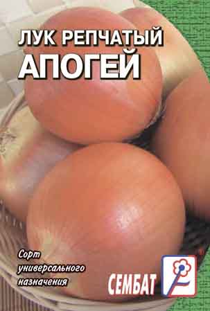 Luk Repchatiy Apogey Luk Repchatiy Apogey