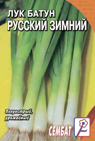 Luk Batun Russkiy Zimniy Luk Batun Russkiy Zimniy