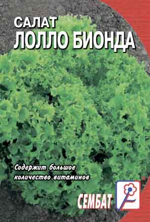 Salat Lollo Bionda