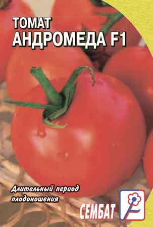 Tomat Andromeda F1 Tomat Andromeda F1