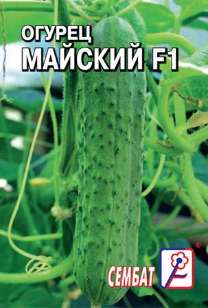 ogurec maiskiy ogurec maiskiy