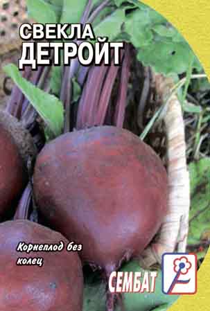 Svekla Detroit