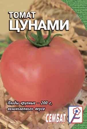 Tomat Cunami Tomat Cunami