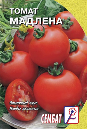 tomat-madlena-01g tomat-madlena-01g