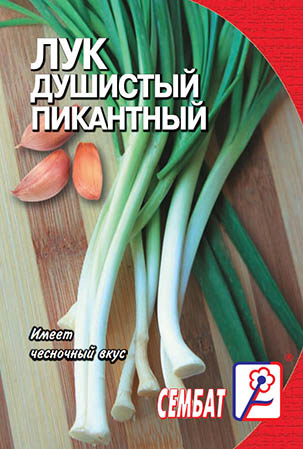 luk pikantniy luk pikantniy