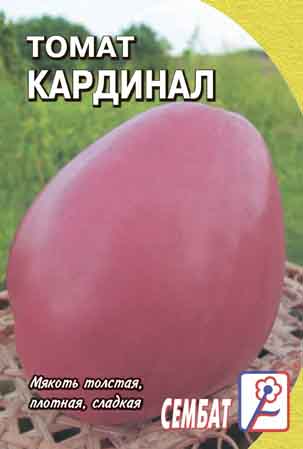Tomat Kardinal Tomat Kardinal