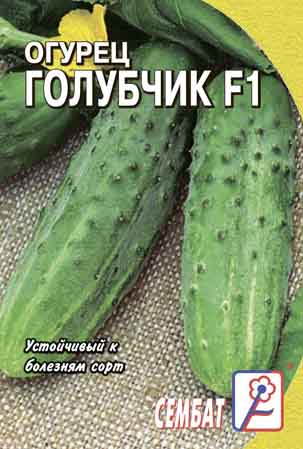 Ogurec Golubchik F1 Ogurec Golubchik F1