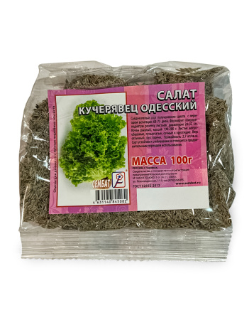 Салат_КучерявецОдесский копия