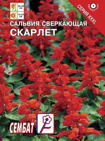 salviay skarlet sbat-382-07-ru.indd