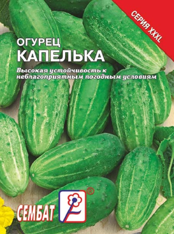 ogurec kapelka sbat-105-04-ru