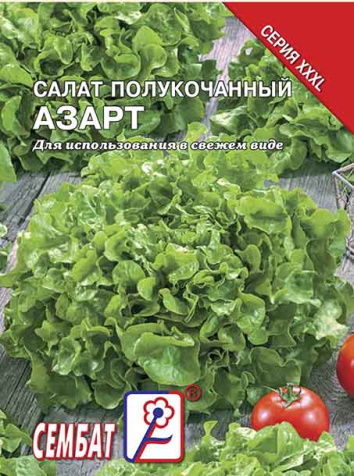 salat azart sbat-288-07-ru.indd