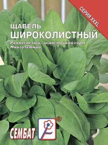 schavel shirokolistnui sbat-36-07-ru