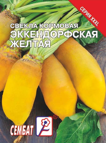 svekla zheltaya