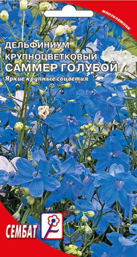 delfinium sammer goluboi sbat-06-01-ru