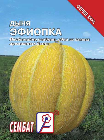 dinya efiopka sbat-112-08-ru.indd