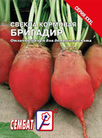 svekla brigadir