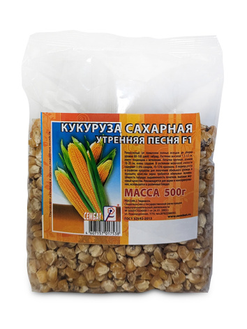 к кукуруза сахарная утренняя песня