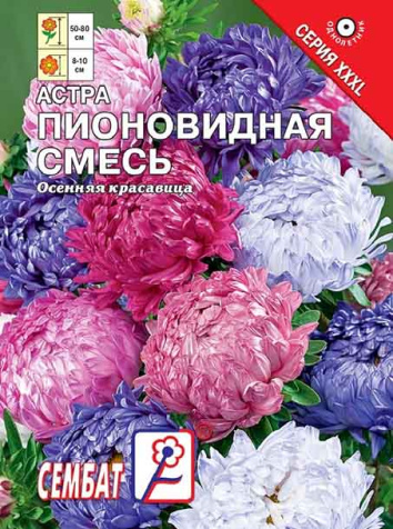 astra pyionovidndnda