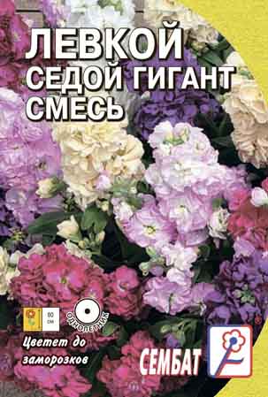 Levkoy Sedoy Gigant Smes