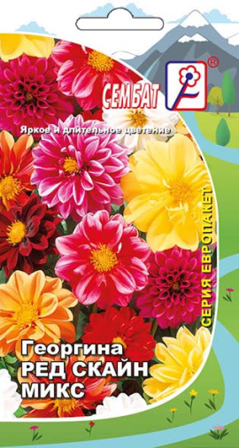 georgina red skain mix sbat-40-02-ru