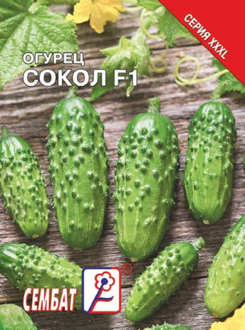 ogurec sokol sbat-295-04-ru