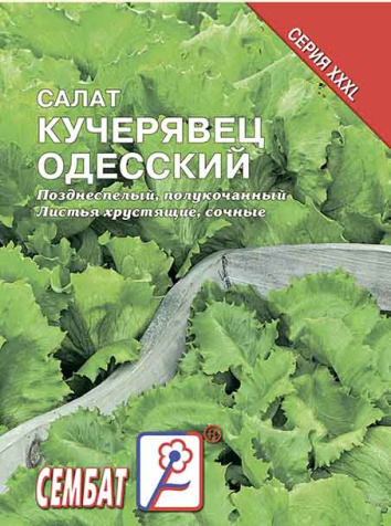 salat kucheriavec odesskyi sbat-09-07-ru