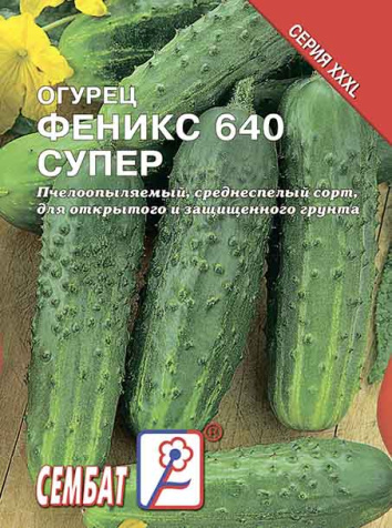 ogurec feniks 640 super sbat-01-07-ru