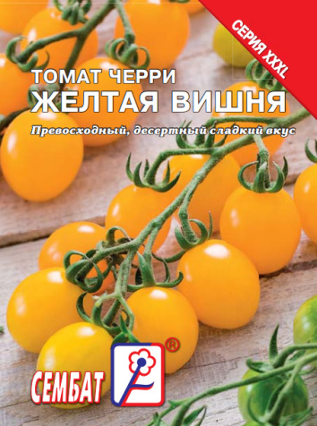 bandicam 2023-12-15 12-22-34-926