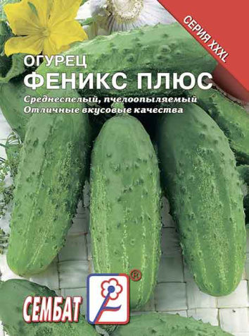 ogurec feniks plus sbat-19-07-ru