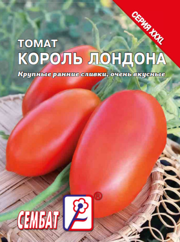 bandicam 2023-12-08 15-40-50-534