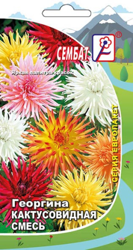 georgina kaktusovidnay smes sbat-39-03-ru