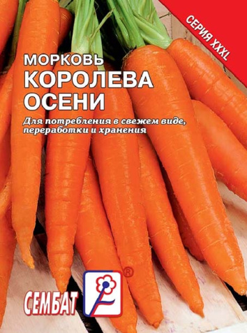 morkov koroleva oseni