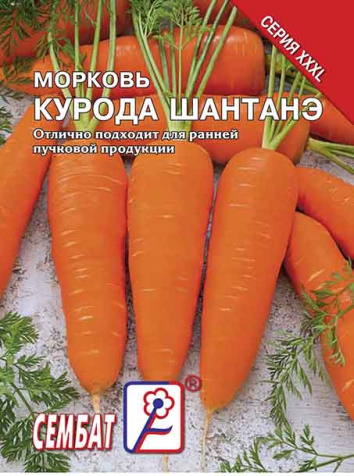 morkov kuroda shantane sbat-282-08-ru.indd