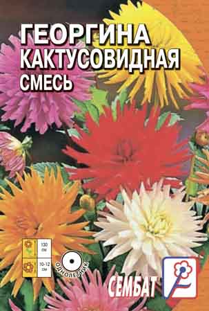 Georgina Kaktusovidnaya Smes