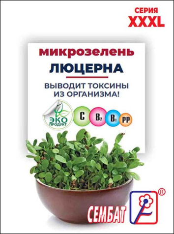 XXXL mikrozelen lucerna