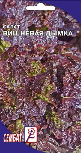 salat vishnevay dumka sbat-18-01-ru