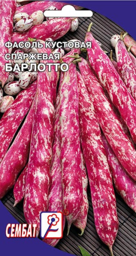 fasol barlotto sbat-17-01-ru