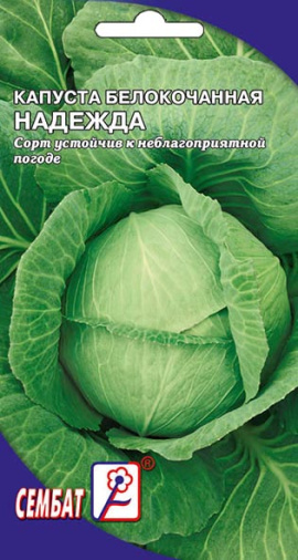 kapusta nadegda sbat-13-01-ru